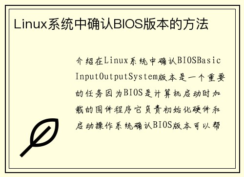 Linux系统中确认BIOS版本的方法